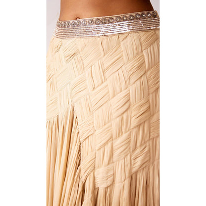 Basanti Kapde aur Koffee Ivory Chinon Embroidered Lehenga And Stitched Blouse With Dupatta