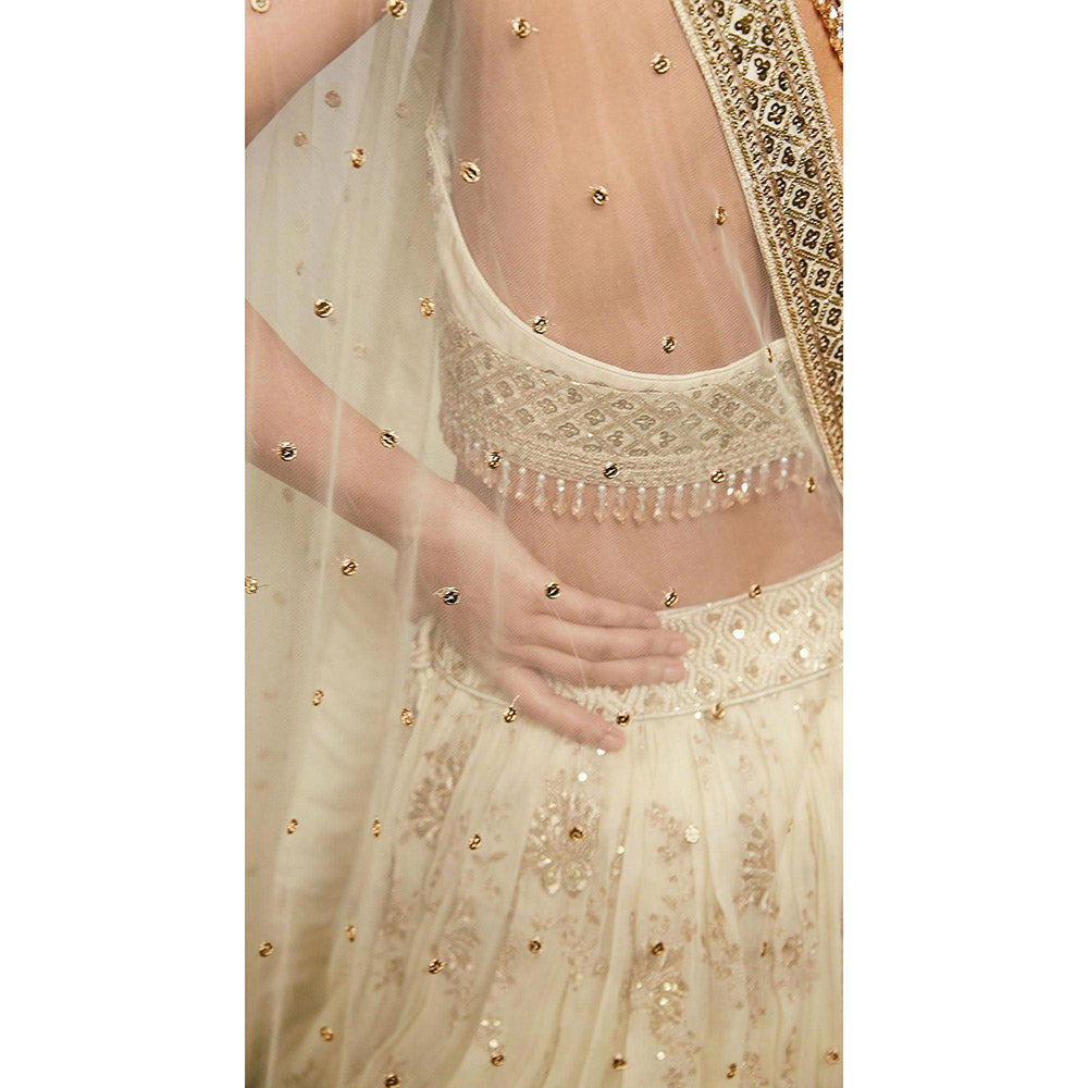 Basanti Kapde aur Koffee Ivory Embroidered Lehenga And Stitched Blouse With Dupatta