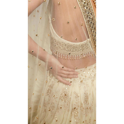 Basanti Kapde aur Koffee Ivory Embroidered Lehenga And Stitched Blouse With Dupatta