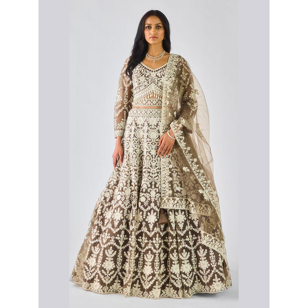 Basanti Kapde aur Koffee Olive Lehenga And Stitched Blouse With Dupatta
