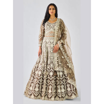 Basanti Kapde aur Koffee Olive Lehenga And Stitched Blouse With Dupatta