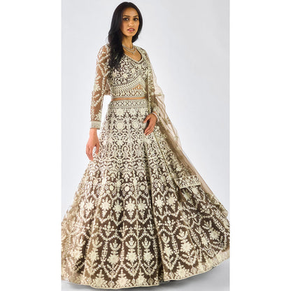 Basanti Kapde aur Koffee Olive Lehenga And Stitched Blouse With Dupatta