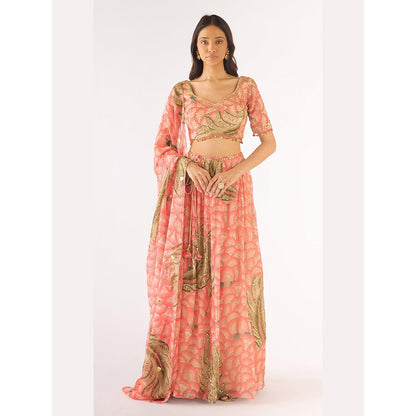 Basanti Kapde aur Koffee Peach Organza Embroidered Lehenga And Stitched Blouse With Dupatta