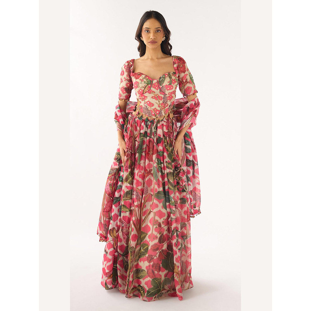 Basanti Kapde aur Koffee Pink Organza Embroidered Lehenga And Stitched Blouse With Dupatta