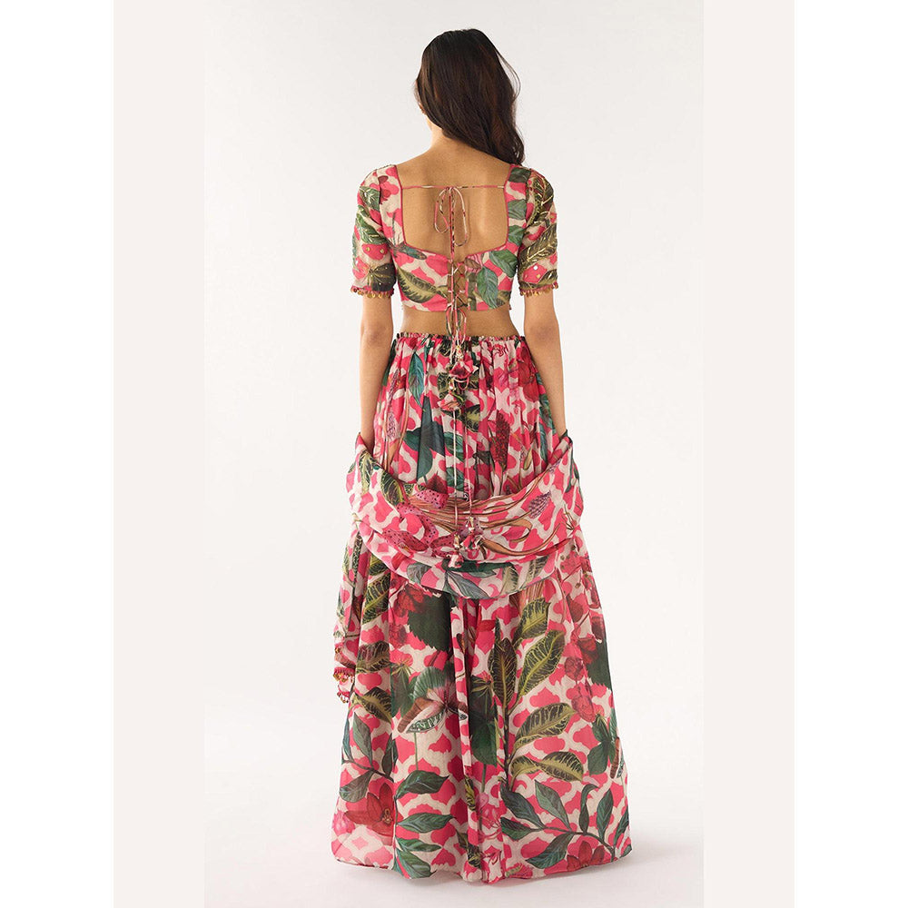 Basanti Kapde aur Koffee Pink Organza Embroidered Lehenga And Stitched Blouse With Dupatta