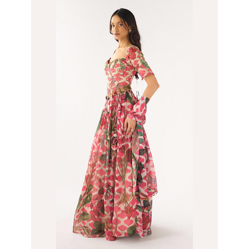 Basanti Kapde aur Koffee Pink Organza Embroidered Lehenga And Stitched Blouse With Dupatta