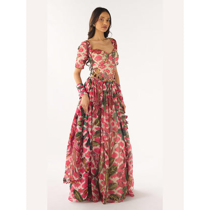 Basanti Kapde aur Koffee Pink Organza Embroidered Lehenga And Stitched Blouse With Dupatta