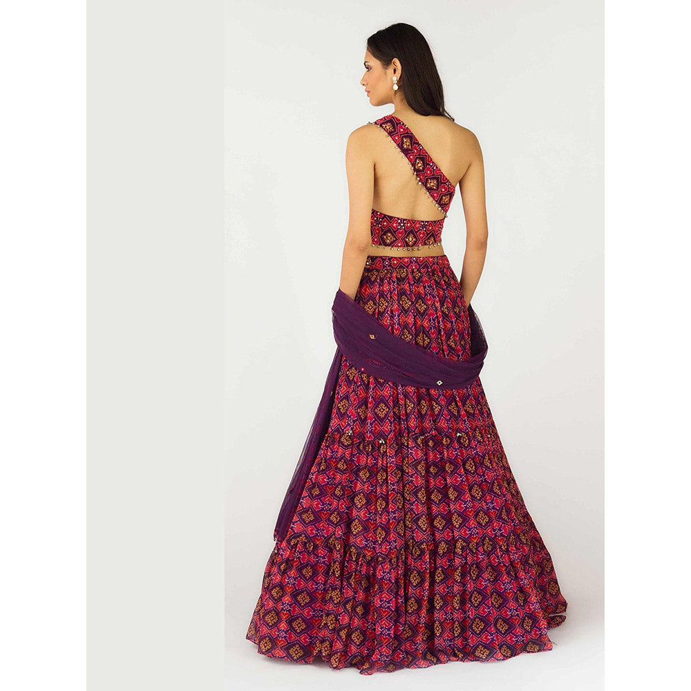 Basanti Kapde aur Koffee Purple Lehenga with Stitched Blouse and Dupatta