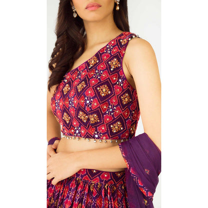 Basanti Kapde aur Koffee Purple Lehenga with Stitched Blouse and Dupatta