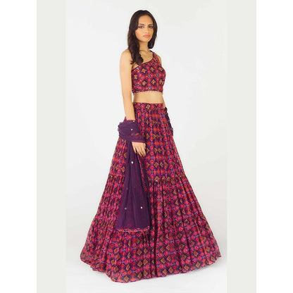 Basanti Kapde aur Koffee Purple Lehenga with Stitched Blouse and Dupatta