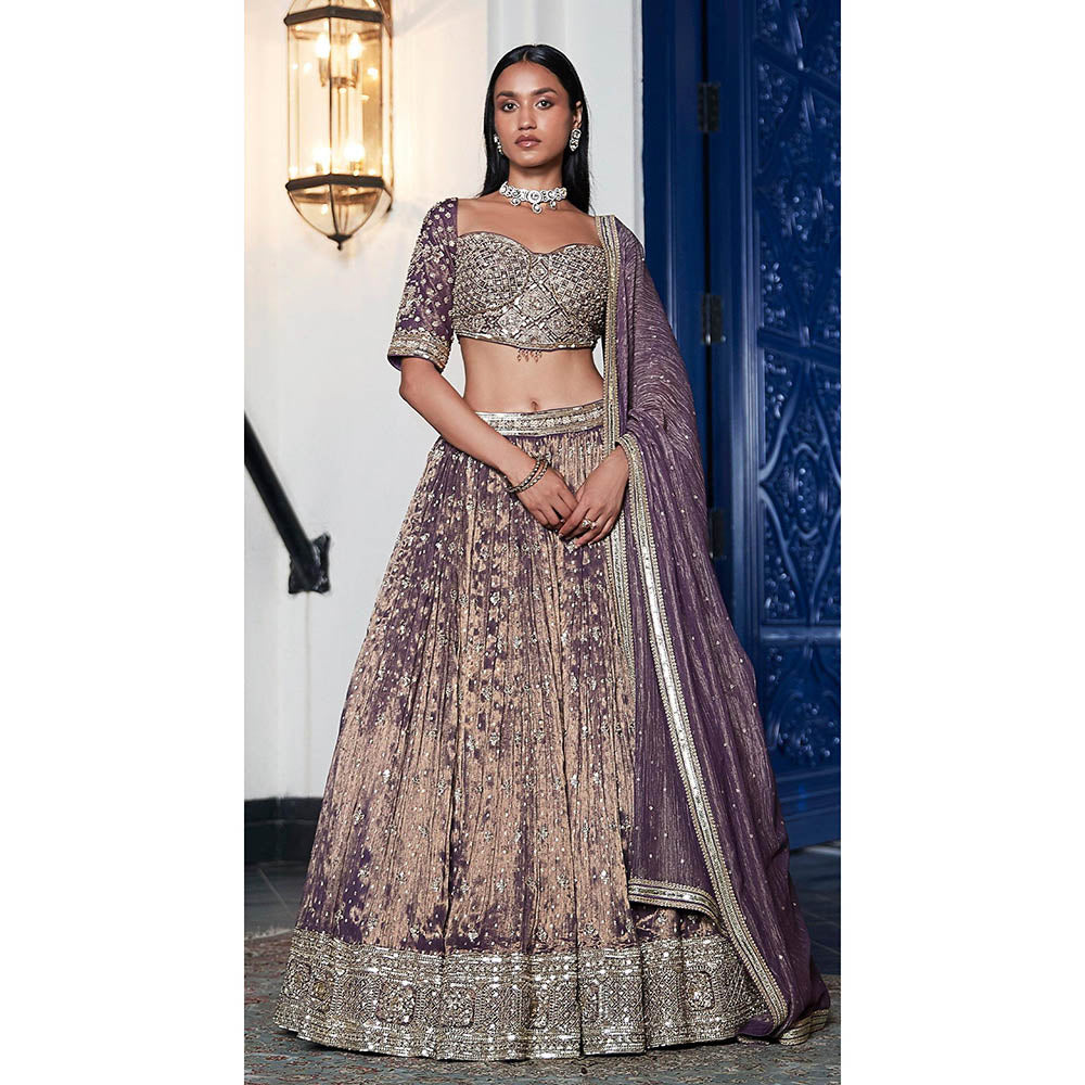 Basanti Kapde aur Koffee Purple Tissue Embroidered Lehenga And Stitched Blouse With Dupatta