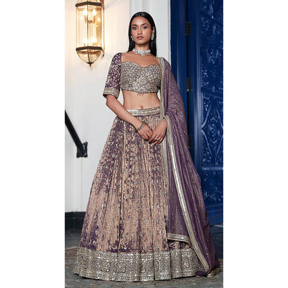 Basanti Kapde aur Koffee Purple Tissue Embroidered Lehenga And Stitched Blouse With Dupatta