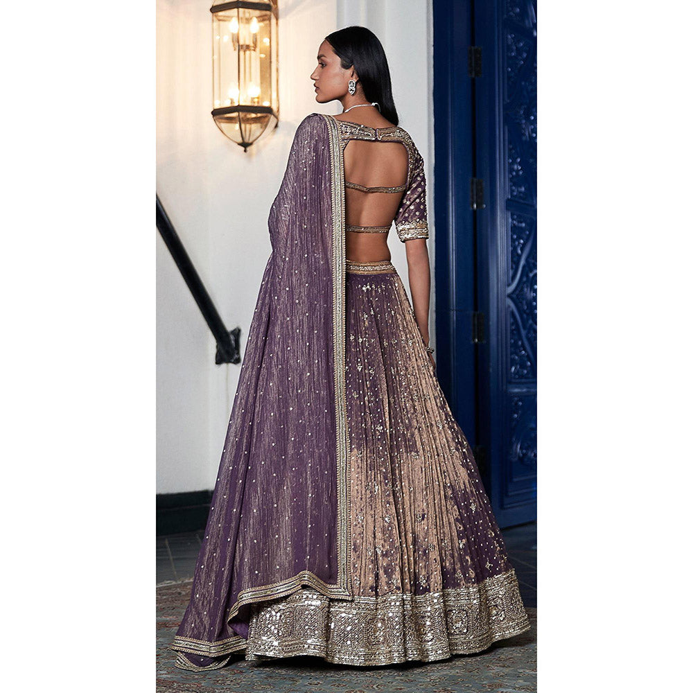 Basanti Kapde aur Koffee Purple Tissue Embroidered Lehenga And Stitched Blouse With Dupatta