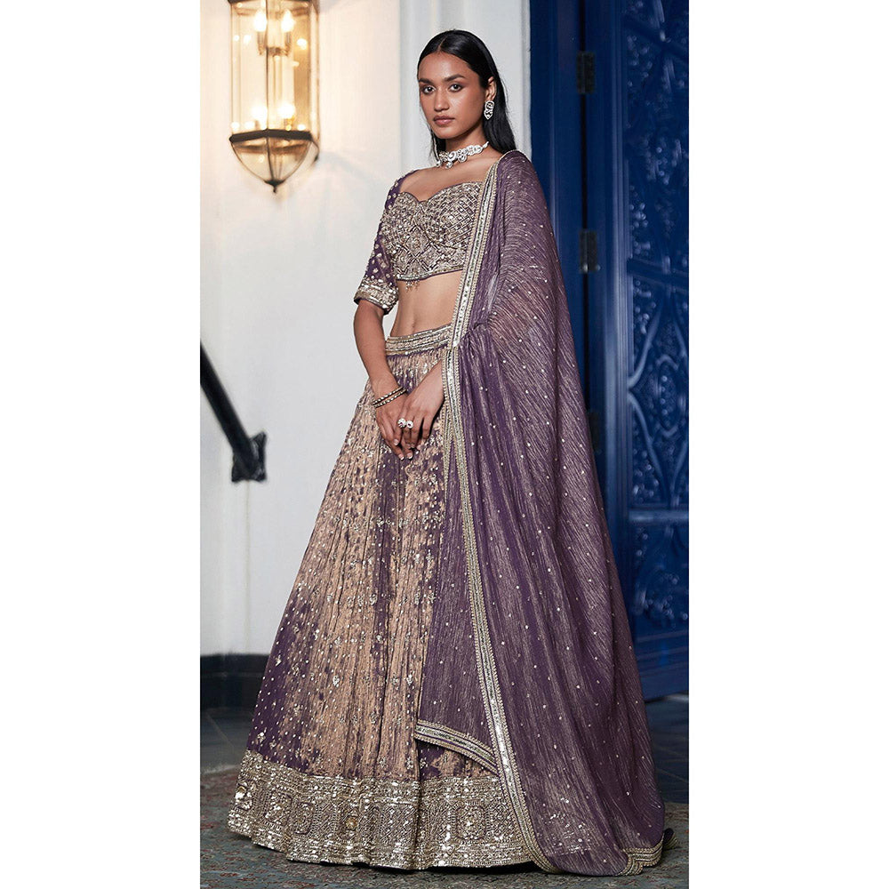 Basanti Kapde aur Koffee Purple Tissue Embroidered Lehenga And Stitched Blouse With Dupatta