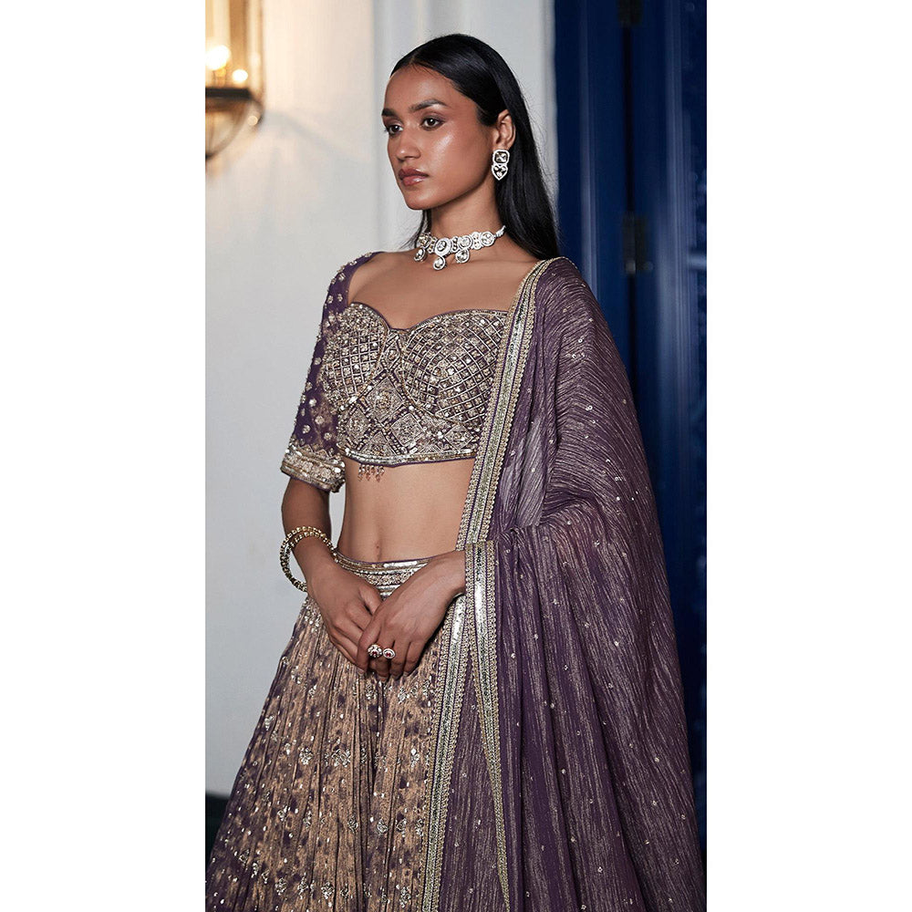 Basanti Kapde aur Koffee Purple Tissue Embroidered Lehenga And Stitched Blouse With Dupatta