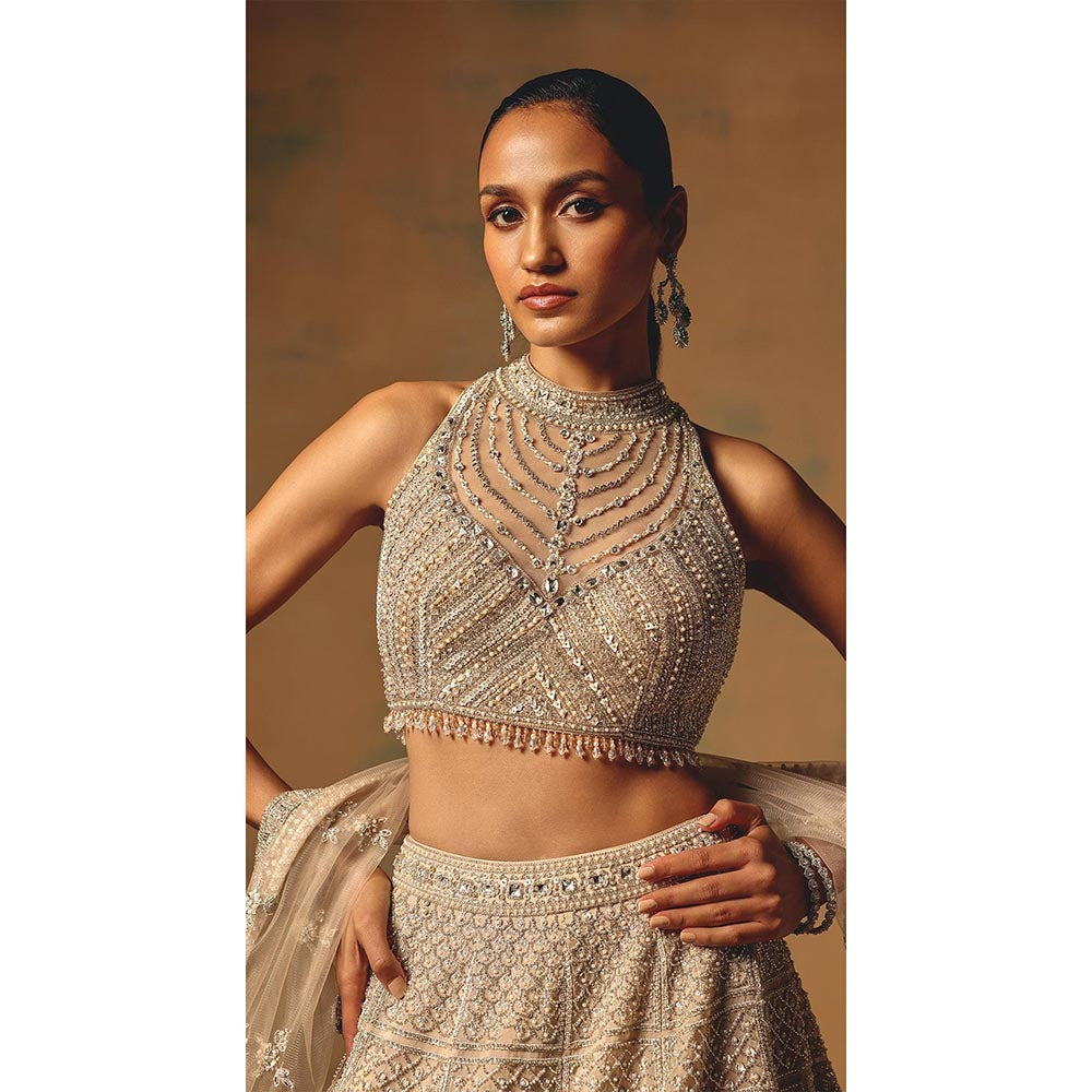 Basanti Kapde aur Koffee The Amber Dusk Lehenga And Stitched Blouse With Dupatta