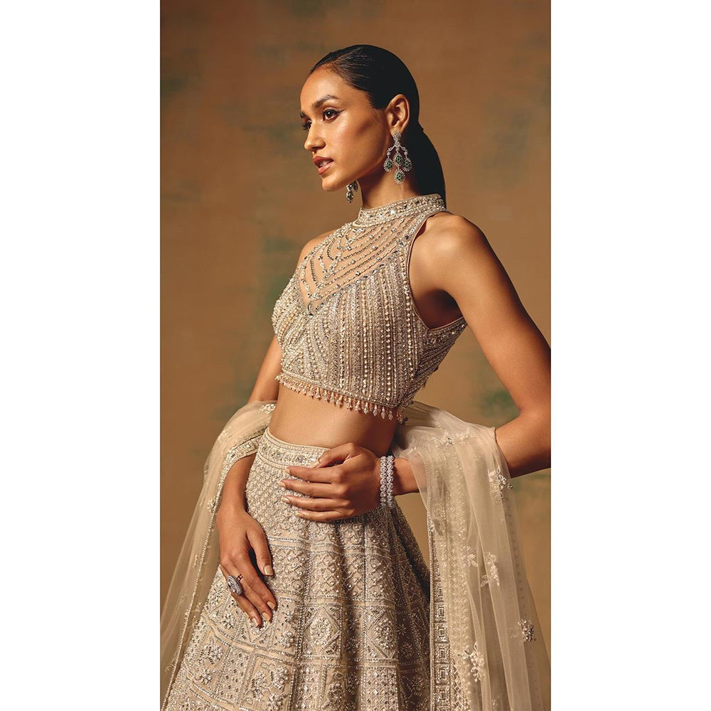 Basanti Kapde aur Koffee The Amber Dusk Lehenga And Stitched Blouse With Dupatta