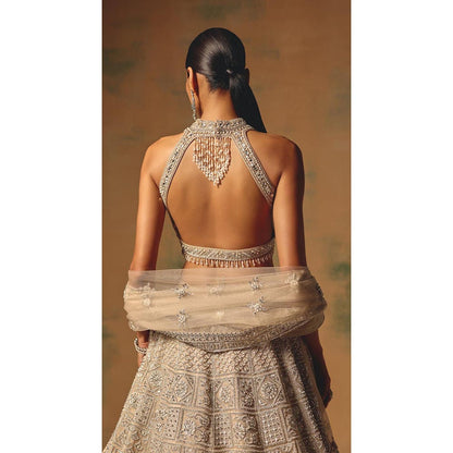 Basanti Kapde aur Koffee The Amber Dusk Lehenga And Stitched Blouse With Dupatta