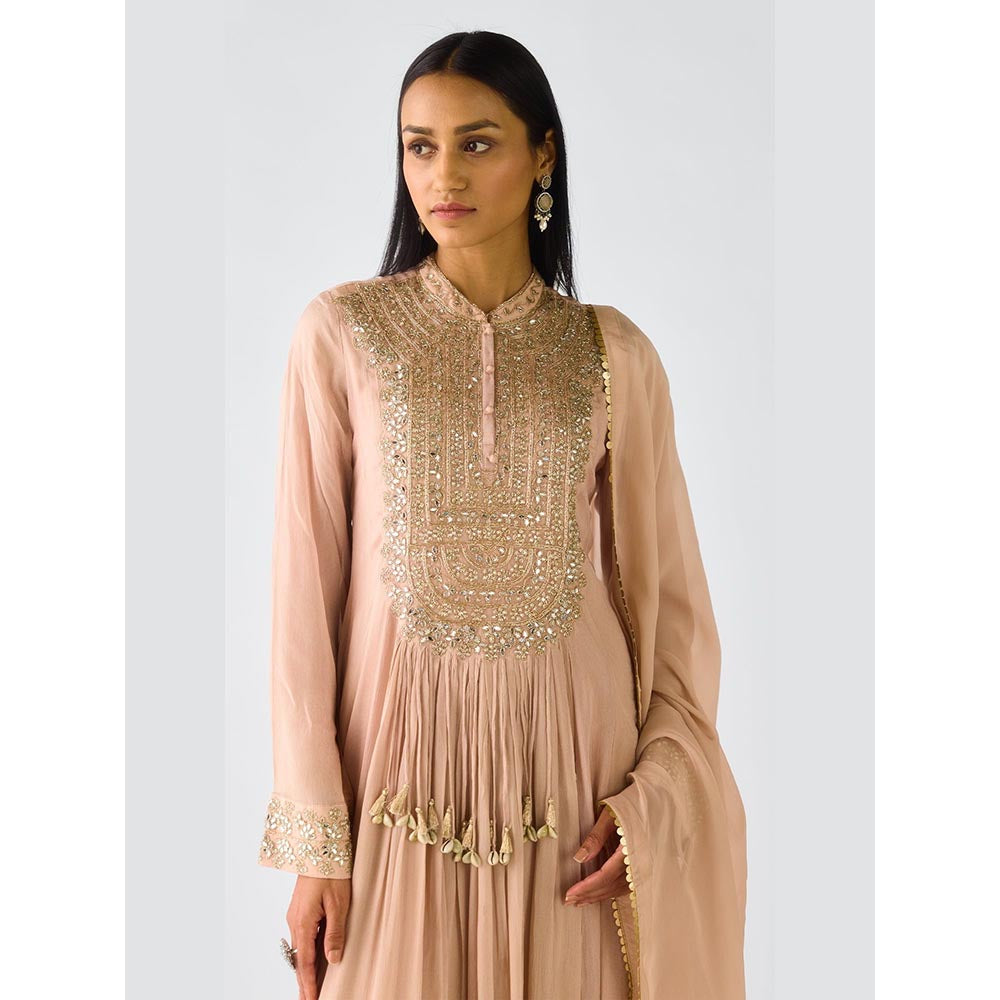 Basanti Kapde aur Koffee Blush Pink Chiffon Embroidered Anarkali and Dupatta