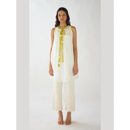 Basanti Kapde aur Koffee Ivory Drift Organza A Line Dress