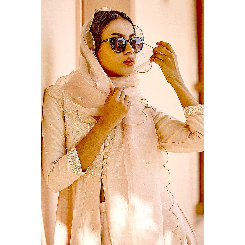 Bbaawri Hand Embroidered Silk Organza Dupatta Peach