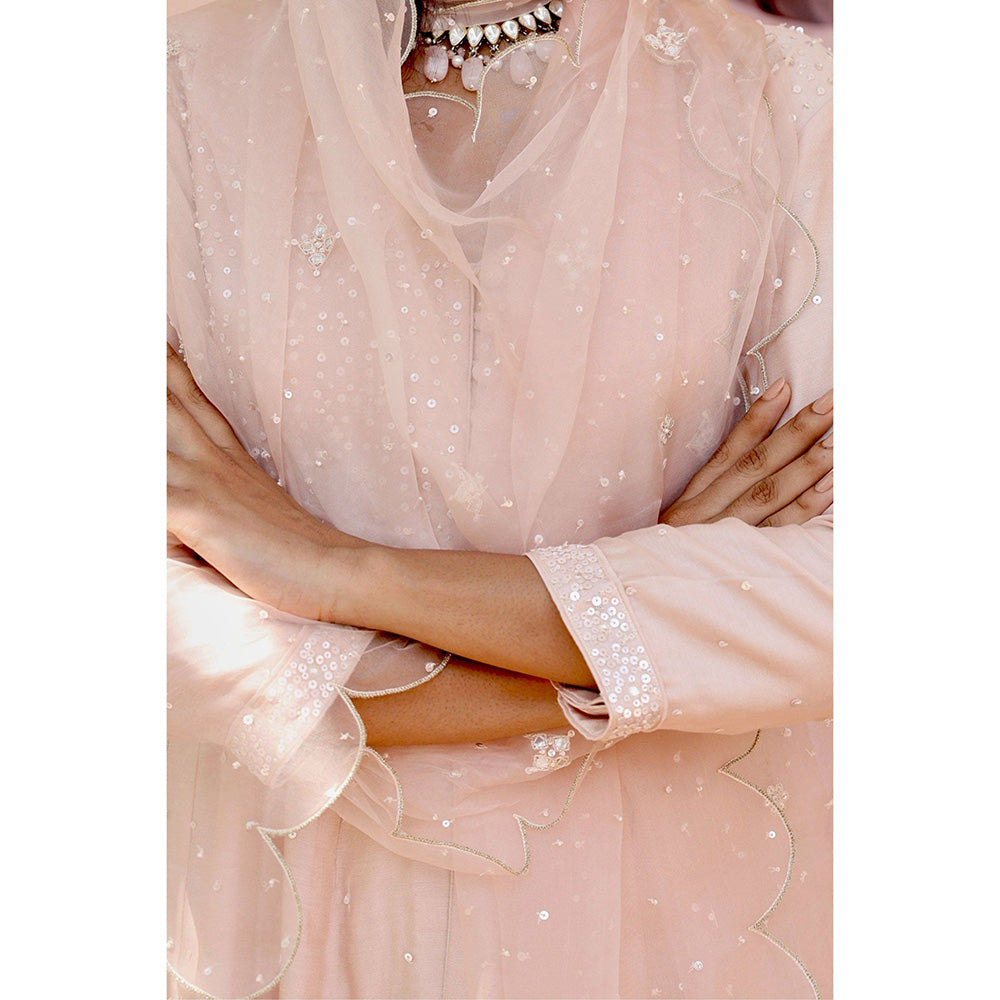 Bbaawri Hand Embroidered Silk Organza Dupatta Peach