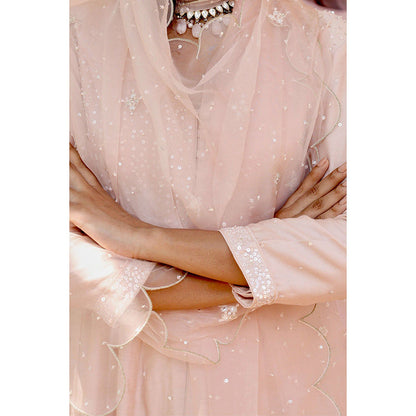 Bbaawri Hand Embroidered Silk Organza Dupatta Peach