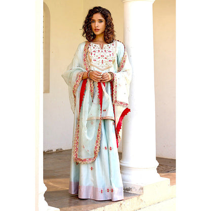 Bbaawri Hand Embroidered Silk Organza Dupatta Blue