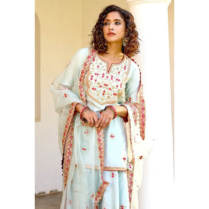 Bbaawri Hand Embroidered Silk Organza Dupatta Blue