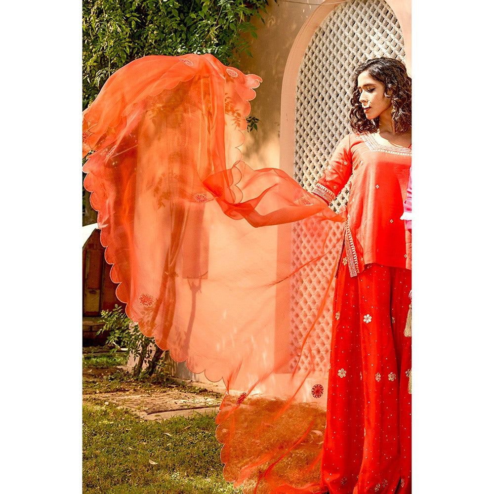 Bbaawri Hand Embroidered Silk Organza Dupatta Red