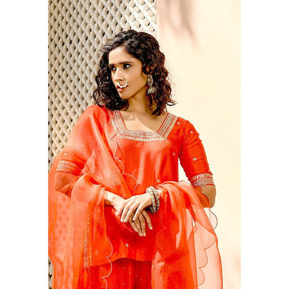 Bbaawri Hand Embroidered Silk Organza Dupatta Red