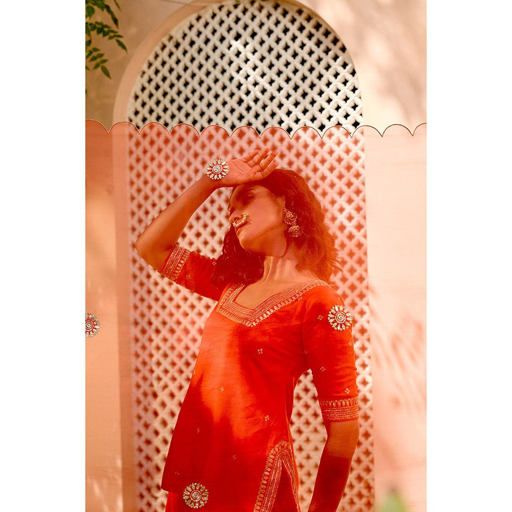 Bbaawri Hand Embroidered Silk Organza Dupatta Red