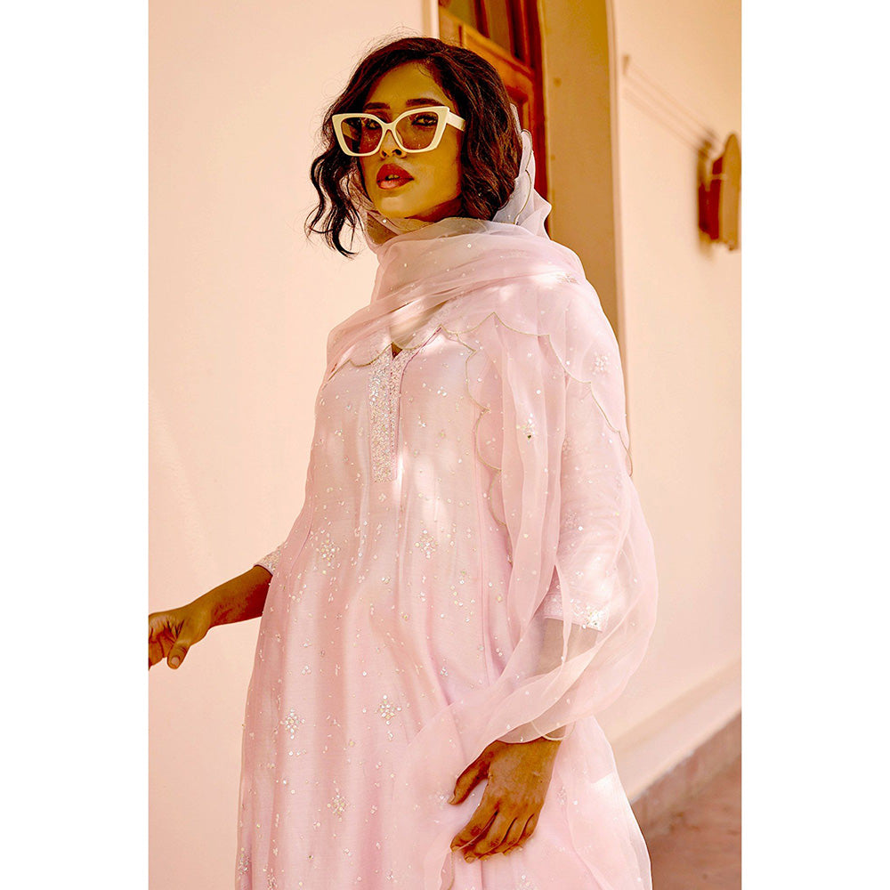 Bbaawri Hand Embroidered Silk Organza Dupatta Pink