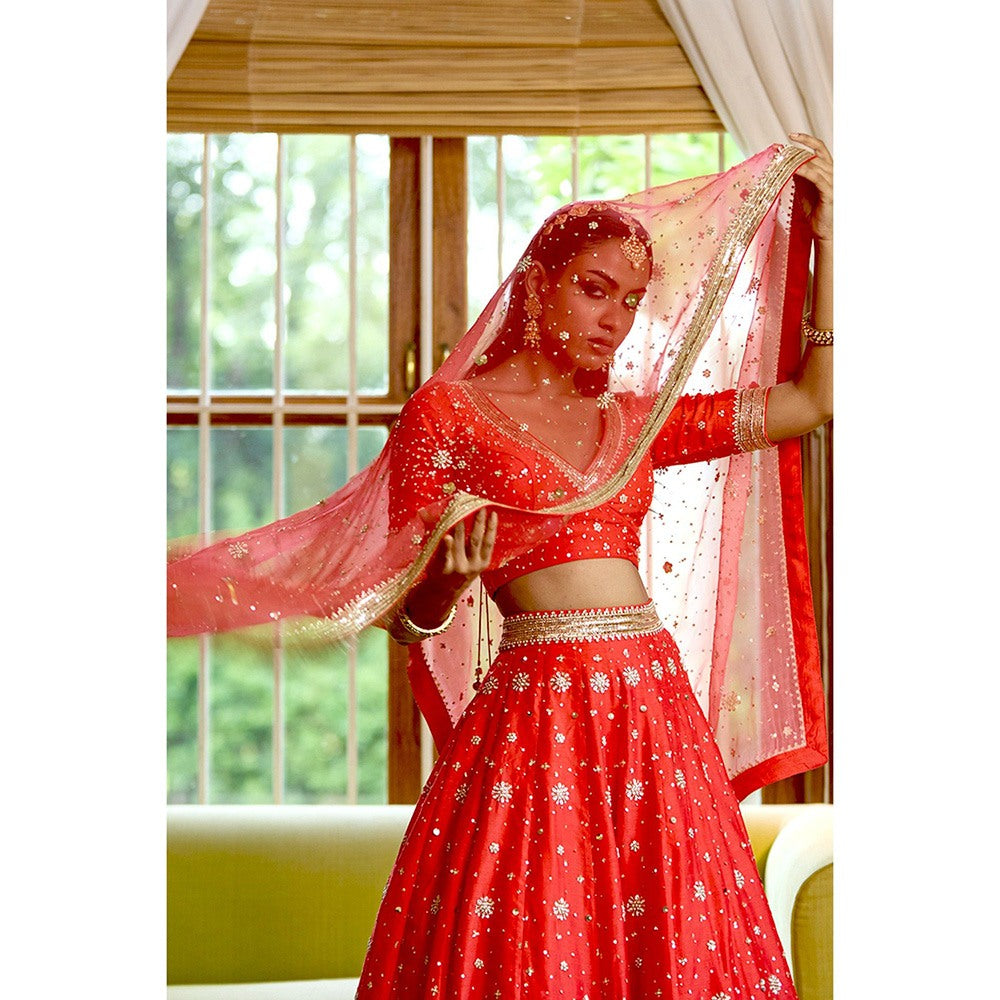 Bbaawri Hand Embroidered Silk Organza Dupatta Red