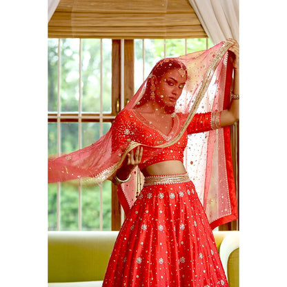 Bbaawri Hand Embroidered Silk Organza Dupatta Red