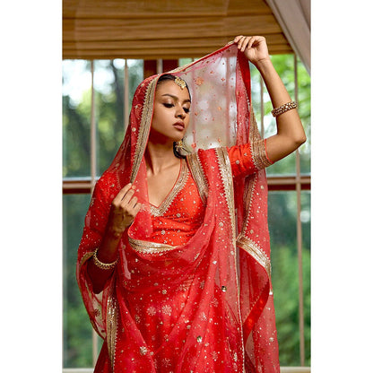 Bbaawri Hand Embroidered Silk Organza Dupatta Red