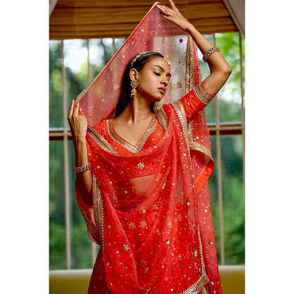 Bbaawri Hand Embroidered Silk Organza Dupatta Red