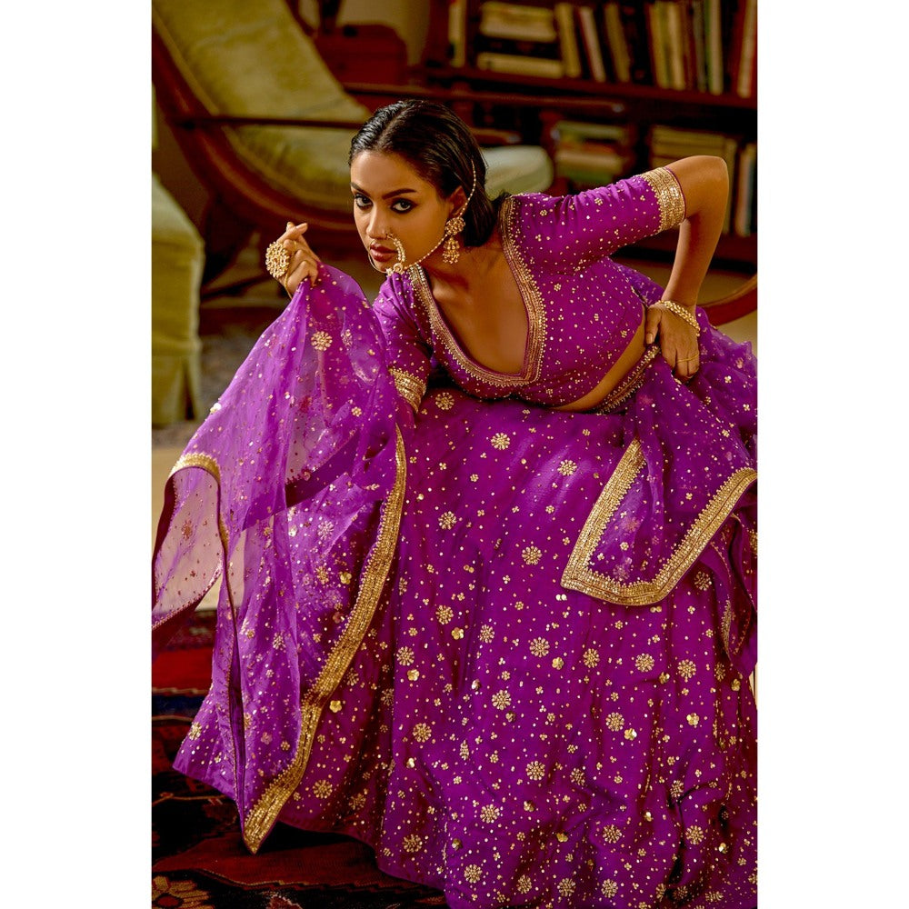 Bbaawri Hand Embroidered Silk Organza Dupatta Purple