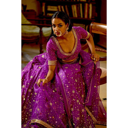 Bbaawri Hand Embroidered Silk Organza Dupatta Purple
