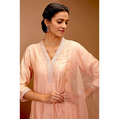 Bbaawri Peach Embroidered Kali Kurta with Pant & Dupatta (Set of 3)