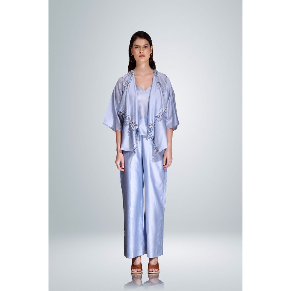 BETRUE Sky Blue Chanderi Silk Embroidered Shaket