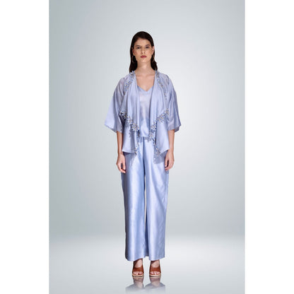 BETRUE Sky Blue Chanderi Silk Embroidered Shaket