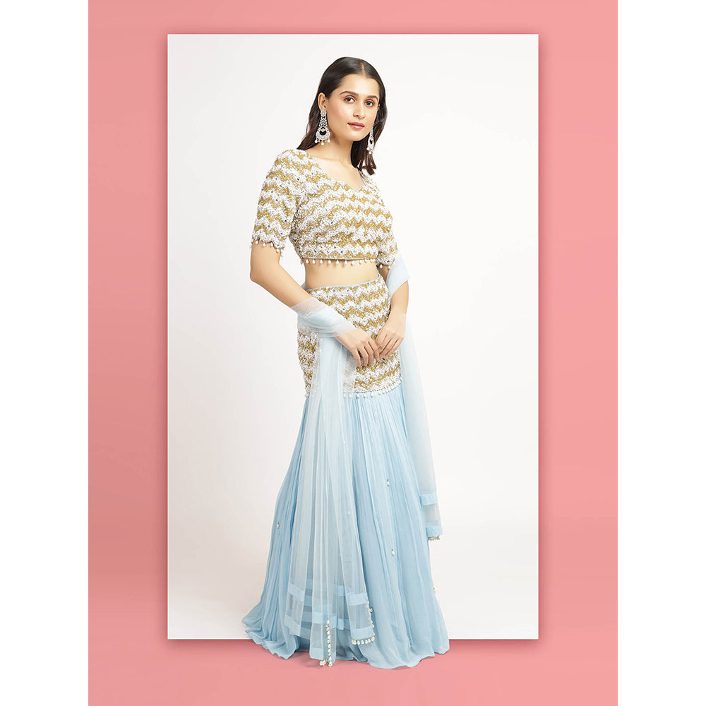 Bha-Sha Blue Mishka Blouse With Lehenga And Dupatta