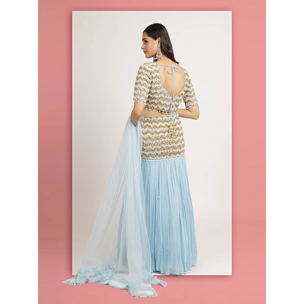 Bha-Sha Blue Mishka Blouse With Lehenga And Dupatta