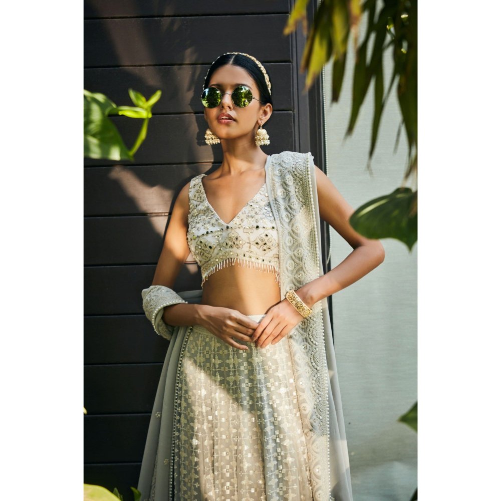 Bohame Alisa Light Grey Embroidered Chikankari Blouse with Lehenga & Dupatta (Set of 3)