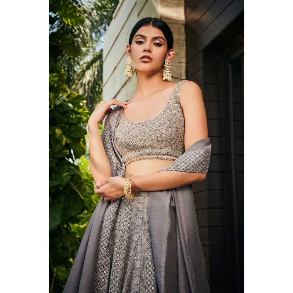 Bohame Eka Dark Grey Chikankari Embroidered Blouse with Lehenga & Dupatta (Set of 3)