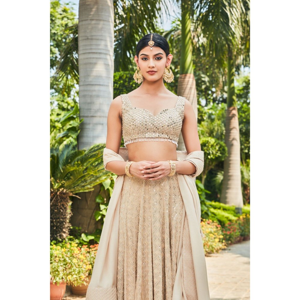 Bohame Myra Beige Embroidered Chikankari Blouse with Lehenga & Dupatta (Set of 3)