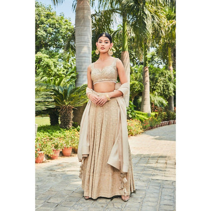 Bohame Myra Beige Embroidered Chikankari Blouse with Lehenga & Dupatta (Set of 3)