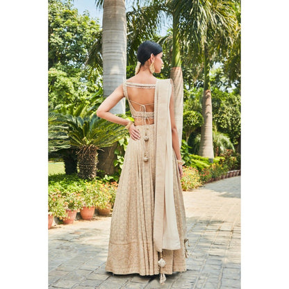 Bohame Myra Beige Embroidered Chikankari Blouse with Lehenga & Dupatta (Set of 3)