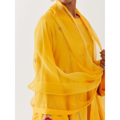BRIH Mango Yellow Embroidered Dupatta